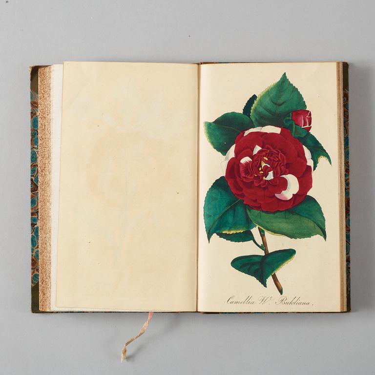 J. E. VON REIDER, Annalen Der Blumisterei für gartenbesitzer, Kunstgärtner, Saamenhändler und Blumenfreunde, 12 vol.