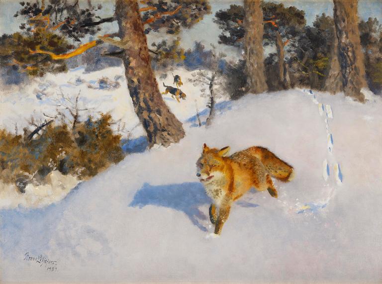 Bruno Liljefors, Winter fox with following hound.