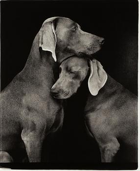 William Wegman, "Friends".