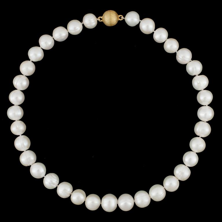 COLLIER, sötvattenspärlor, ca13-12 mm, förgyllt lås av silver. 2000-tal.