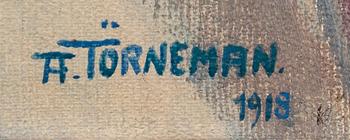 AXEL TÖRNEMAN,
