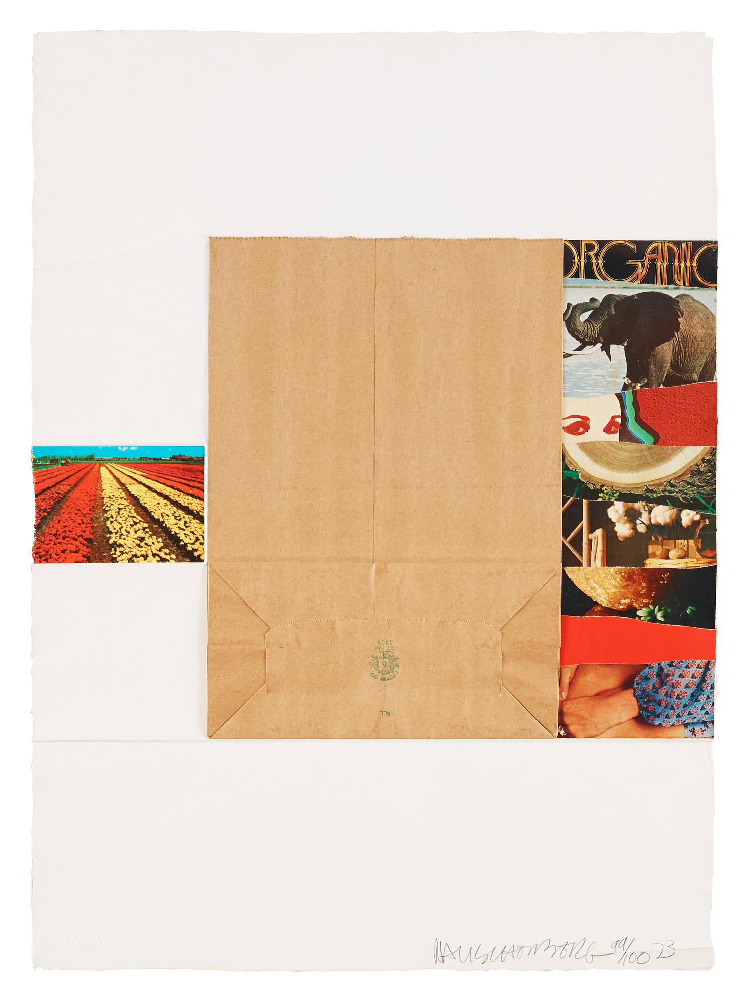 Robert Rauschenberg, "Plot" ur: "Reality and Paradoxes".