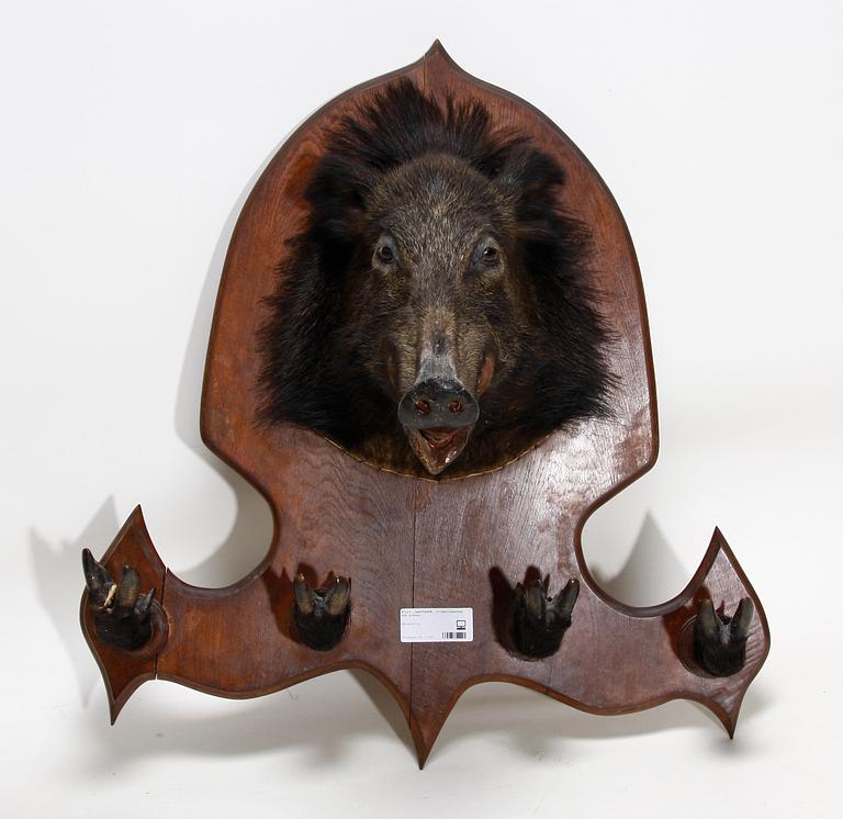 JAKTTROFÉ, vildsvinshuvud och klövar monterade som klädhängare.