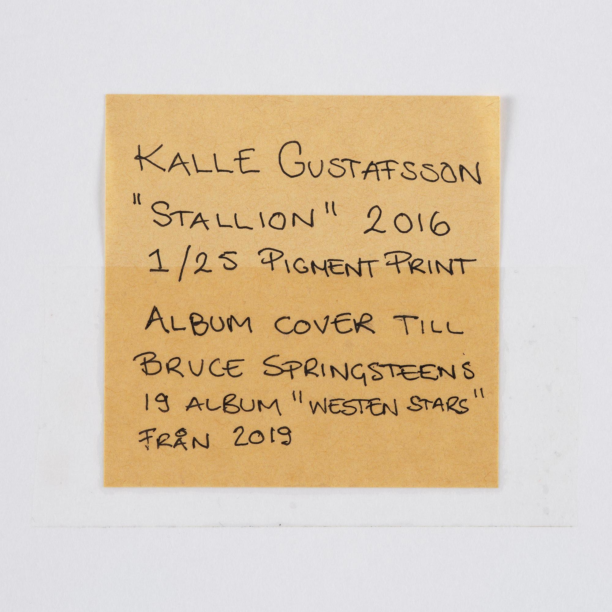 Kalle Gustafsson, "Stallion", 2016.