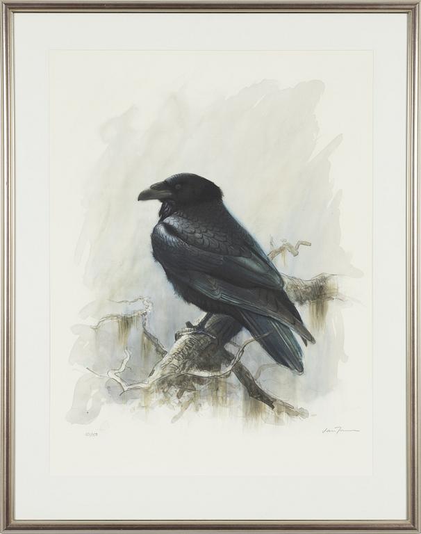 Lars Jonsson, Raven.