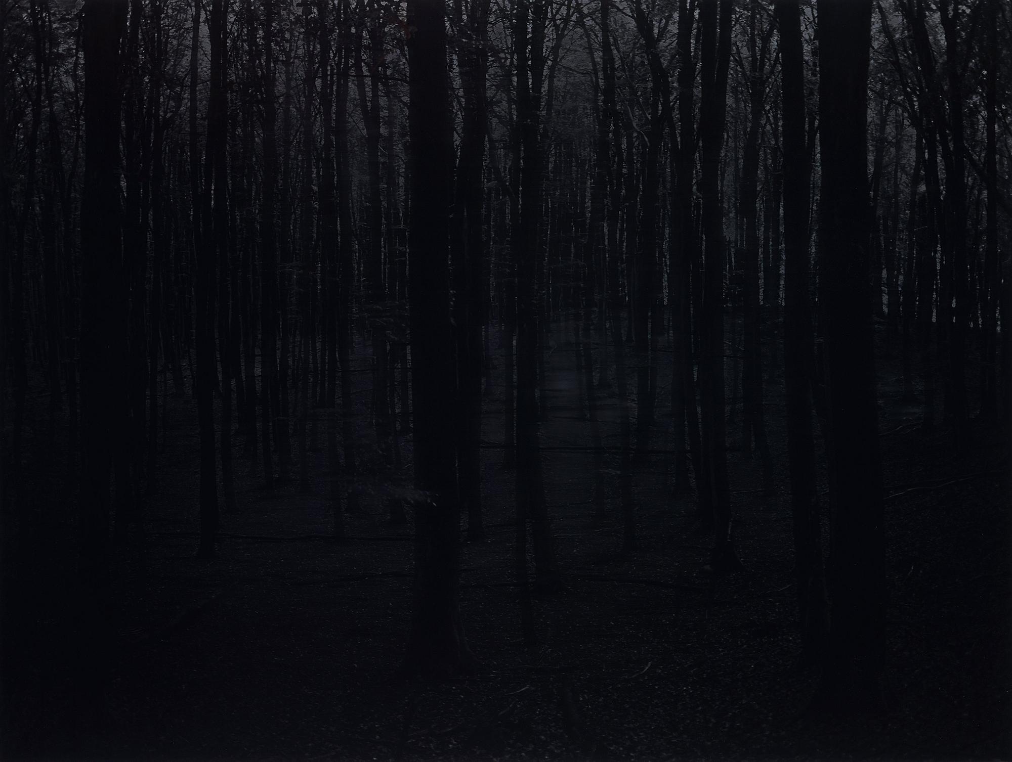 Blaise Reutersward, "Deutsche Landschaft 1203", 2012.