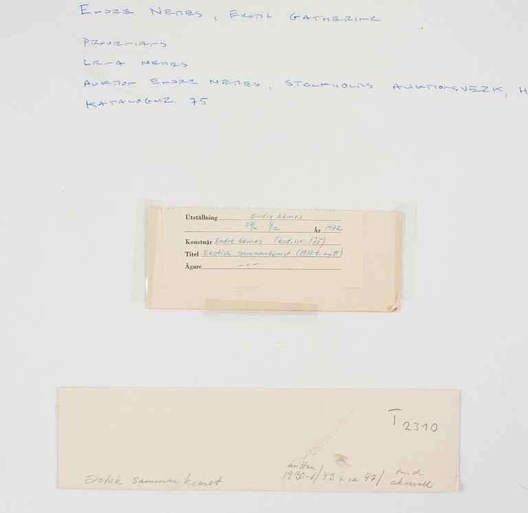 Endre Nemes, "Exotisk sammankomst".
