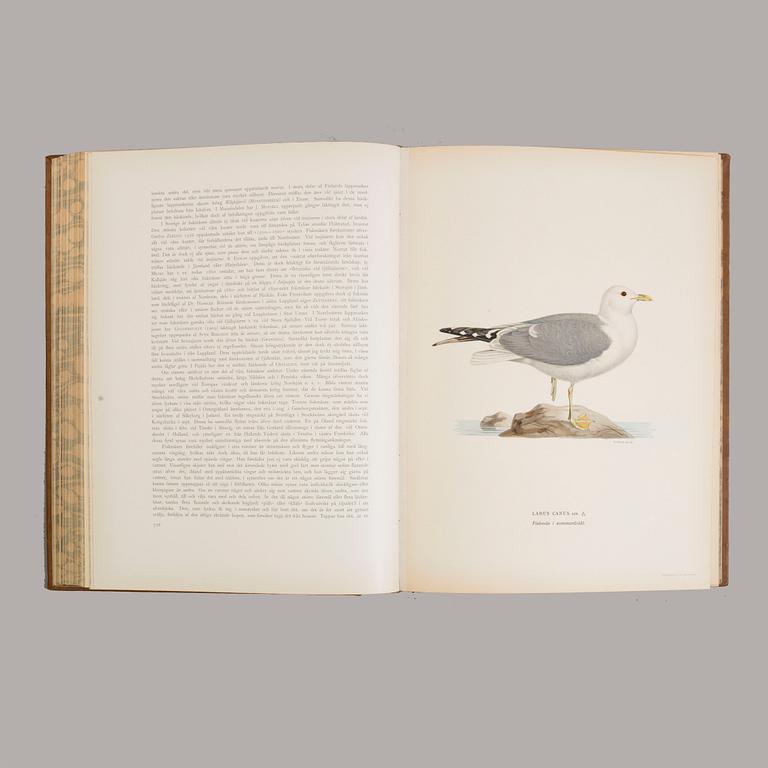 Three book "Svenska fåglar (Swedish birds)" with images by M, W & F VON WRIGHT, printed by Börtzells AB, 1924-1929.