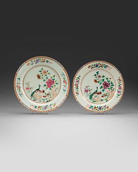 372. Two large famille rose 'double peacock' serving dishes, Qing dynasty, Qianlong (1736-95).