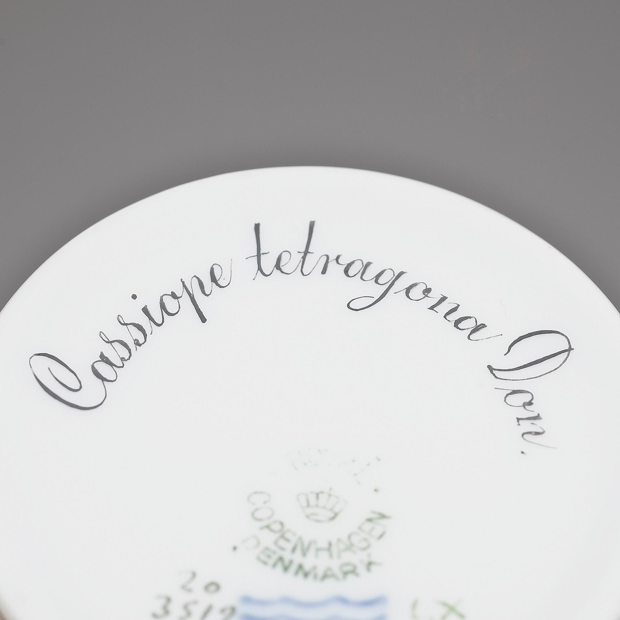 SERVISDELAR, 5+3 delar, porslin bl a Flora Danica och Royal Copenhagen.