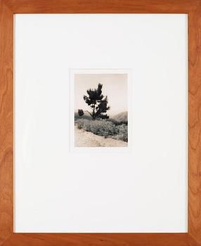 HÅKAN VALENTIN, silvergelatinfotografi, sign o dat 1982 a tergo.