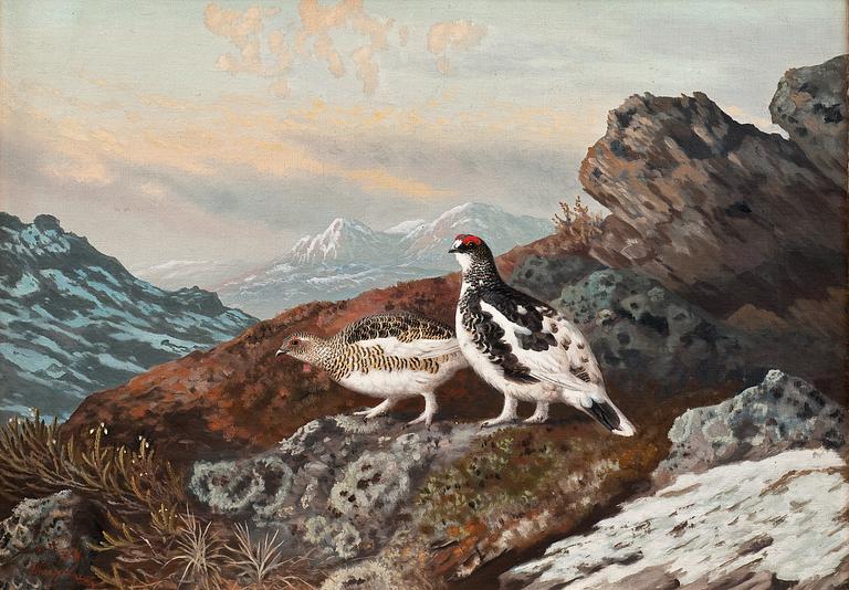 Matti Karppanen, PTARMIGANS.