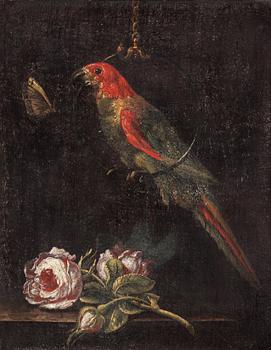 Still life with a parrot and flowers.