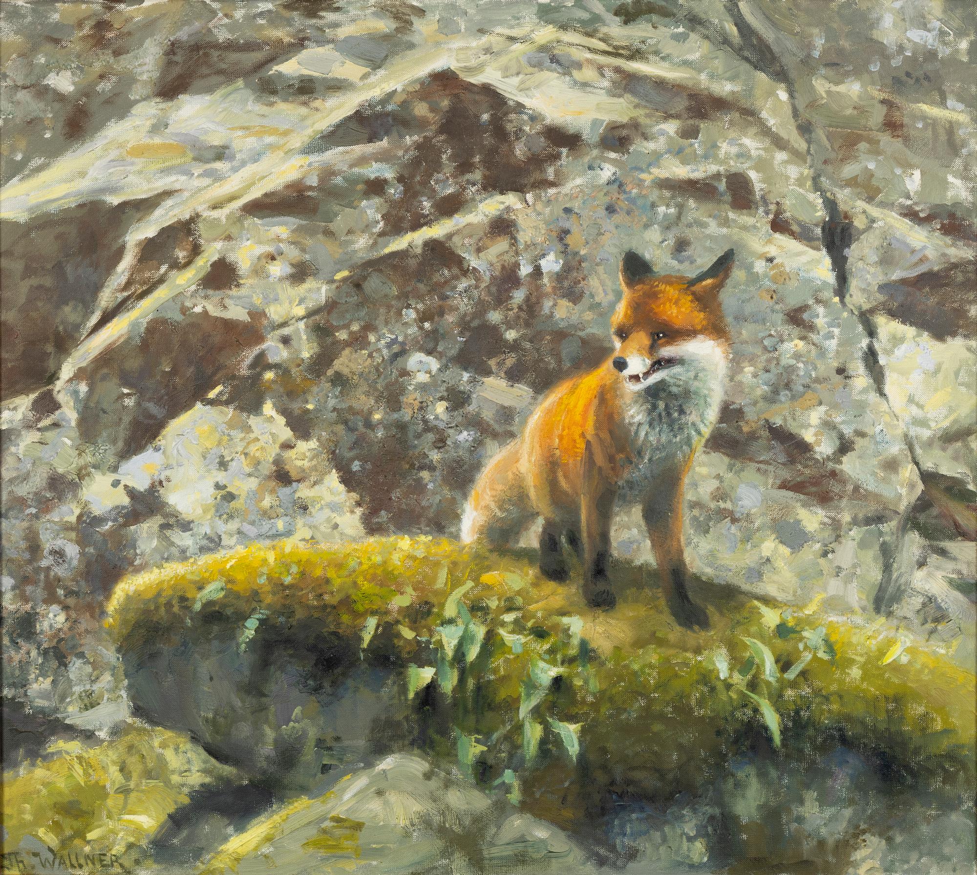 Thure Wallner, Räv.