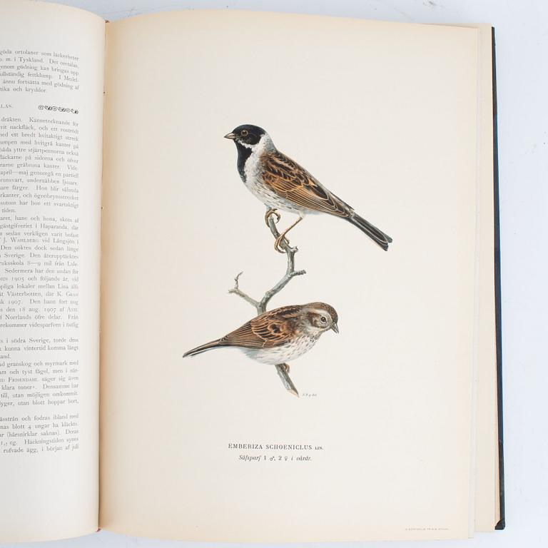 von Wright: Svenska fåglar.