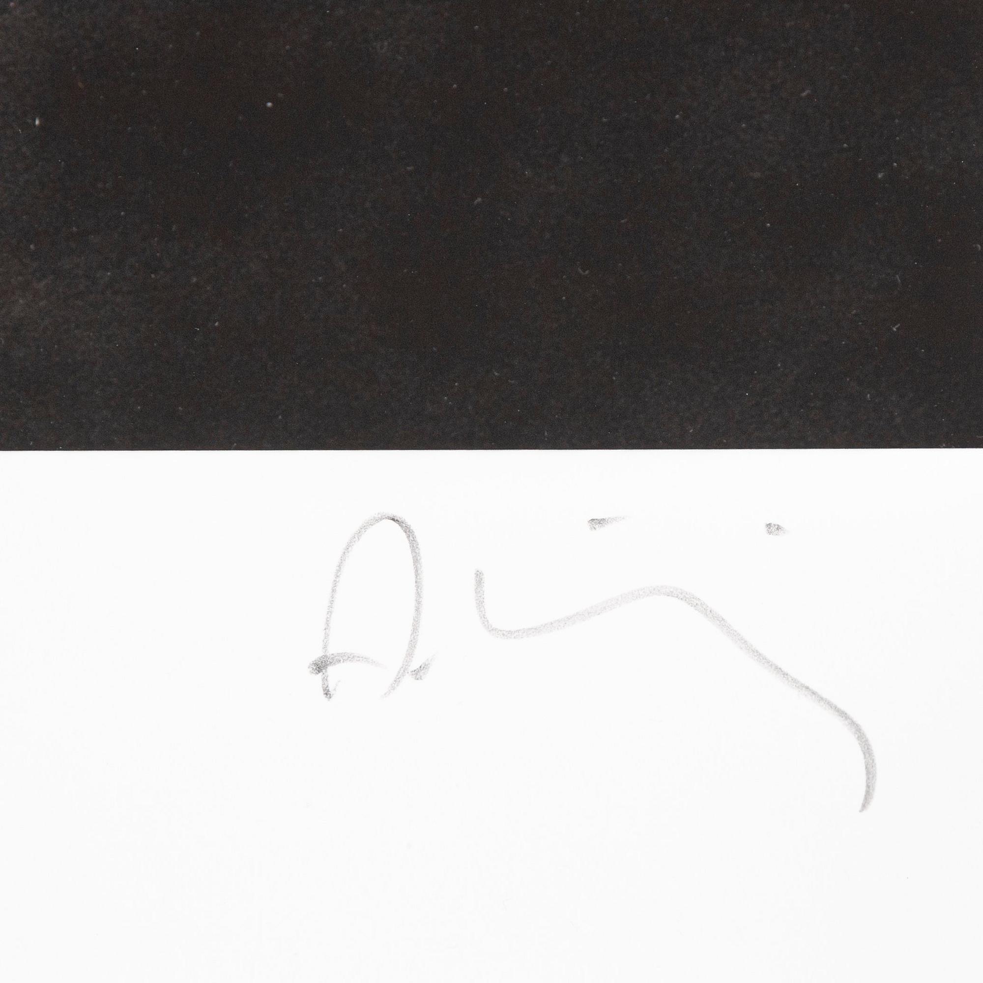 Albert Wiking, "Zara", 2015.