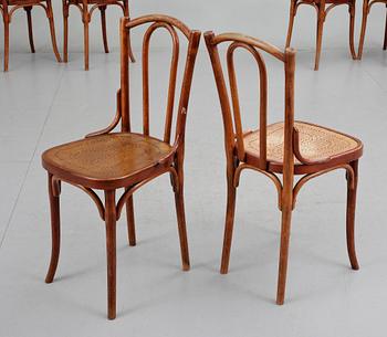 CAFESTOLAR, 9 st, Thonet, sekelskiftet 1900.