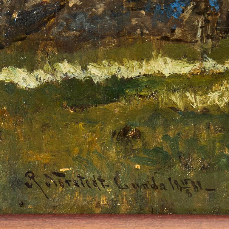 Reinhold Norstedt, "Björkskogsinteriör, Lunda, Vingåker".