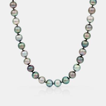 786. A cultured Tahiti pearl necklace.