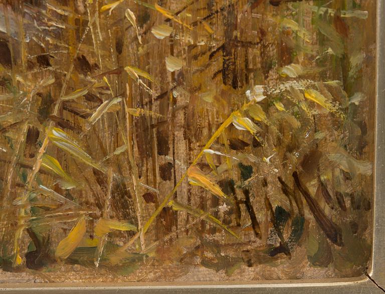 Hjalmar Munsterhjelm, AUTUMN MOOD.