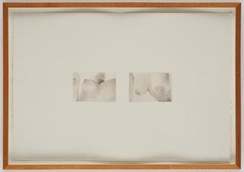 Cecilia Edefalk, Untitled.