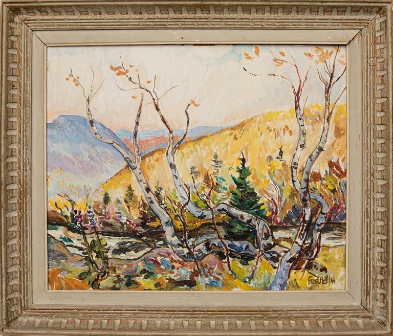 Einar Forseth, Mountain birches.