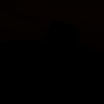 Chanel, "Boy Phone Pouch", 2014.