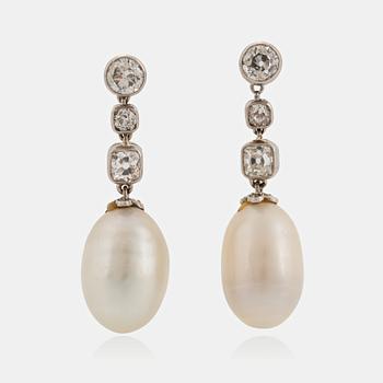 1067. A pair of platinum earrings set with drop formed pearls and old-cut diamonds.