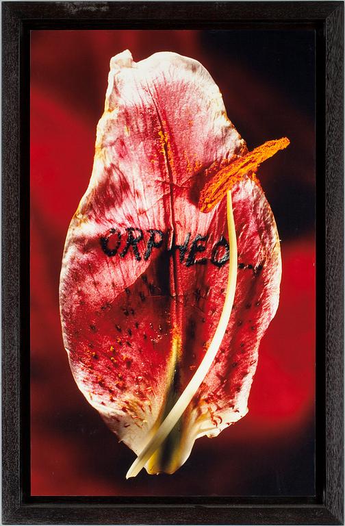 ANNE & PATRICK POIRIER, C-print monterad på aluminium.