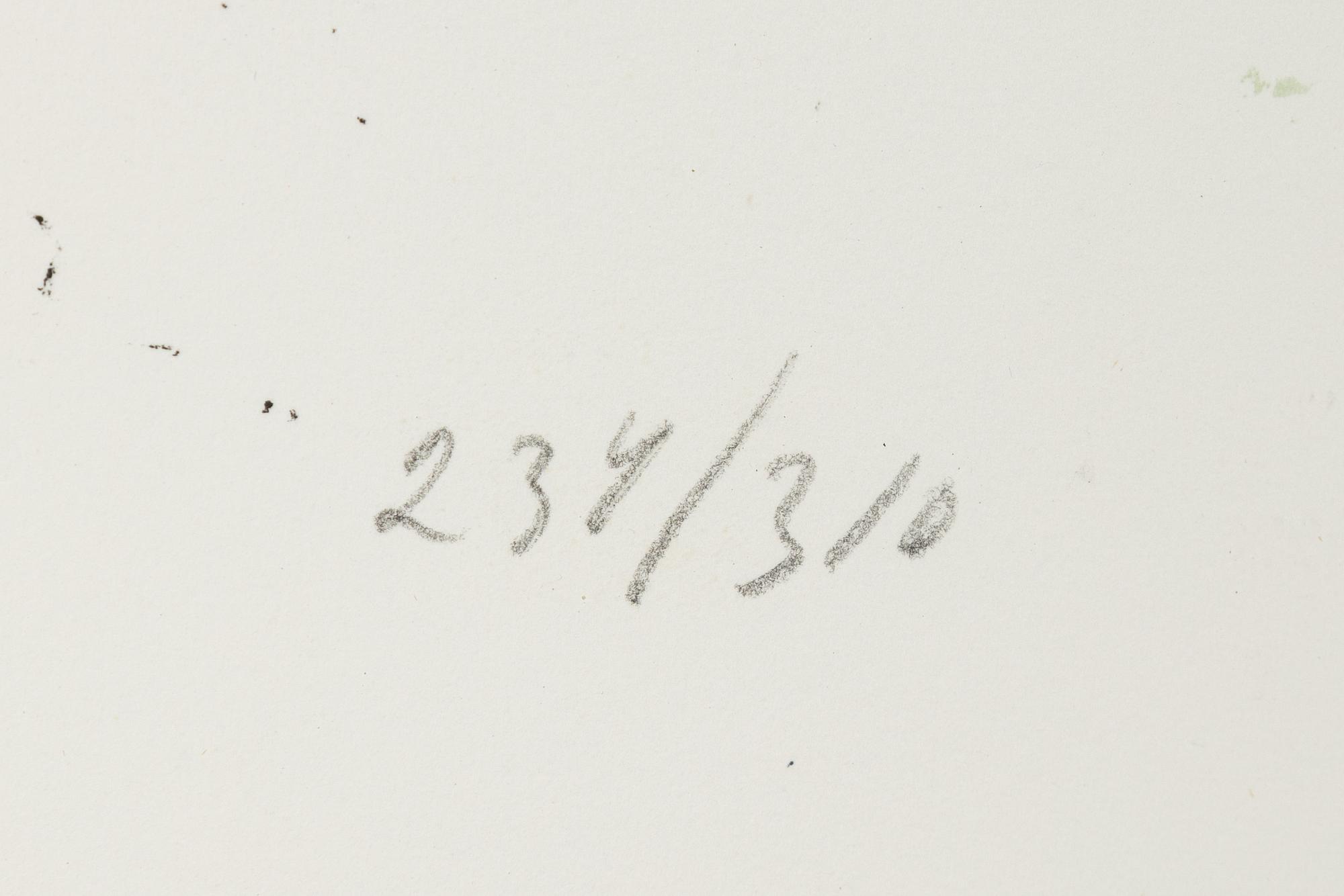 Lars Lerin, färgträsnitt, 1978, signerad 234/310.