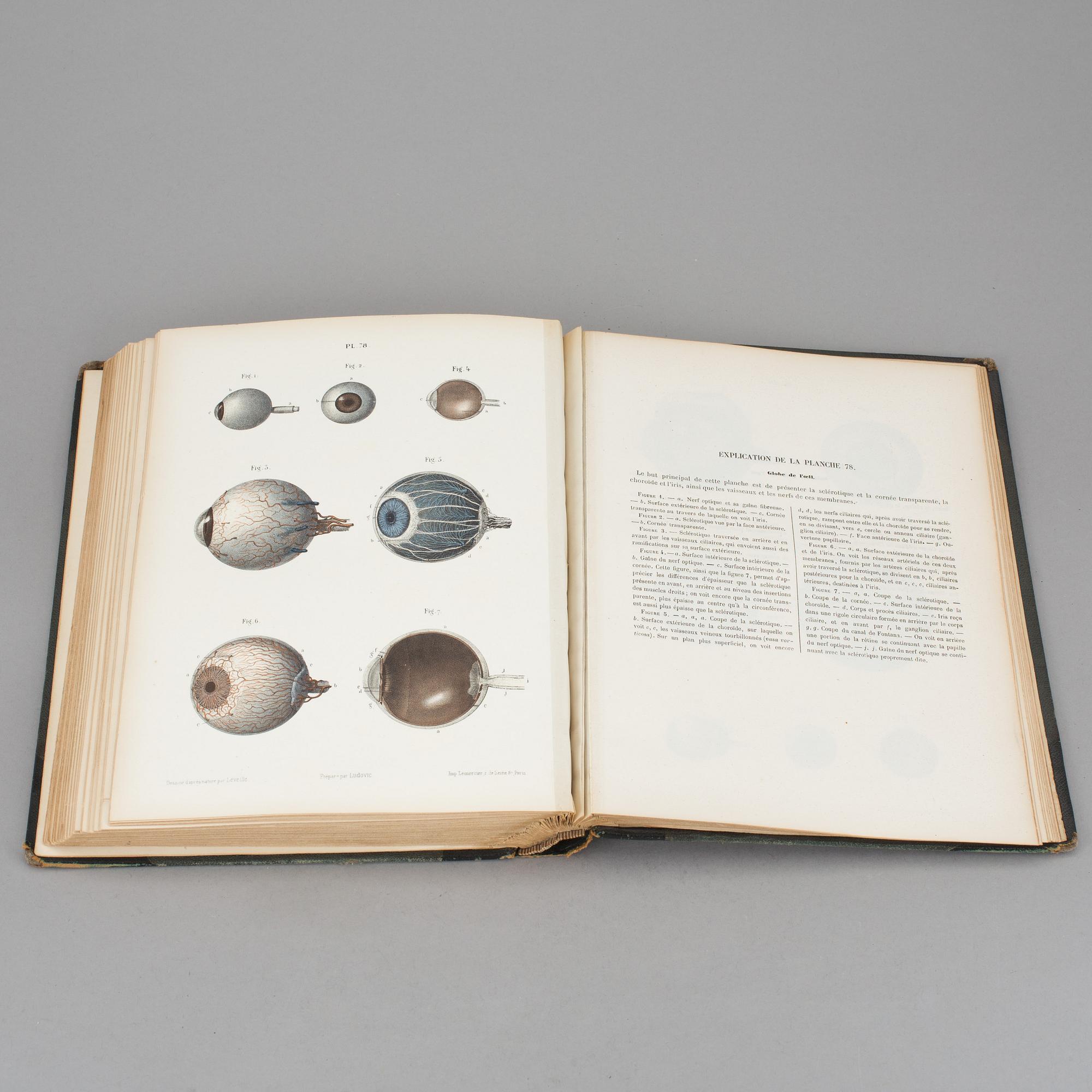 ATLAS, "Systeme Nerveux", Ludovic Hirschfeld, Victor Masson et Fils,  Paris, 1866.