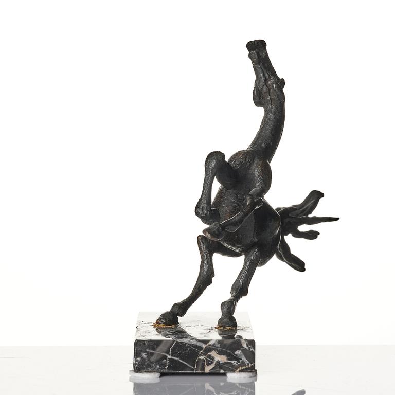 Sergio Capellini, stegrande häst.