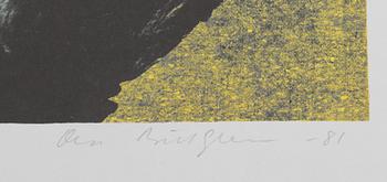 Ola Billgren, "Romantic Landscape 5".