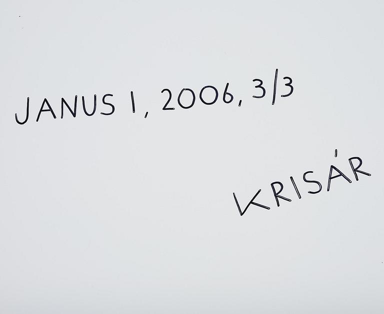 Anders Krisár, "Janus 1", 2006.
