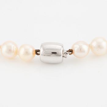 A cultured pearl necklace with 18K white gold clasp.