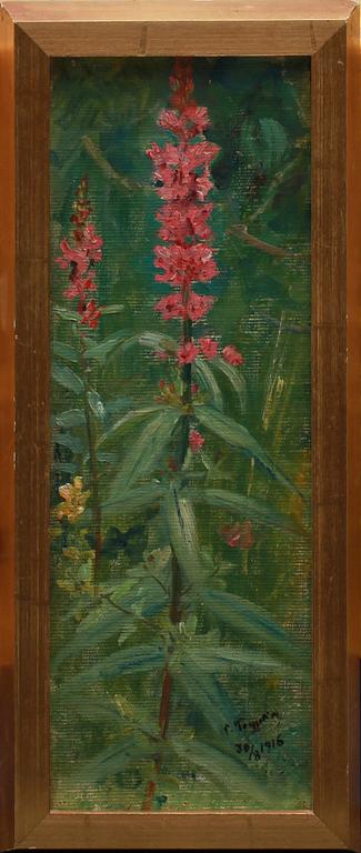 ERIK TRYGGELIN, oljor på uppklistrad duk, 2 st, sign och dat 1916 resp 1927.