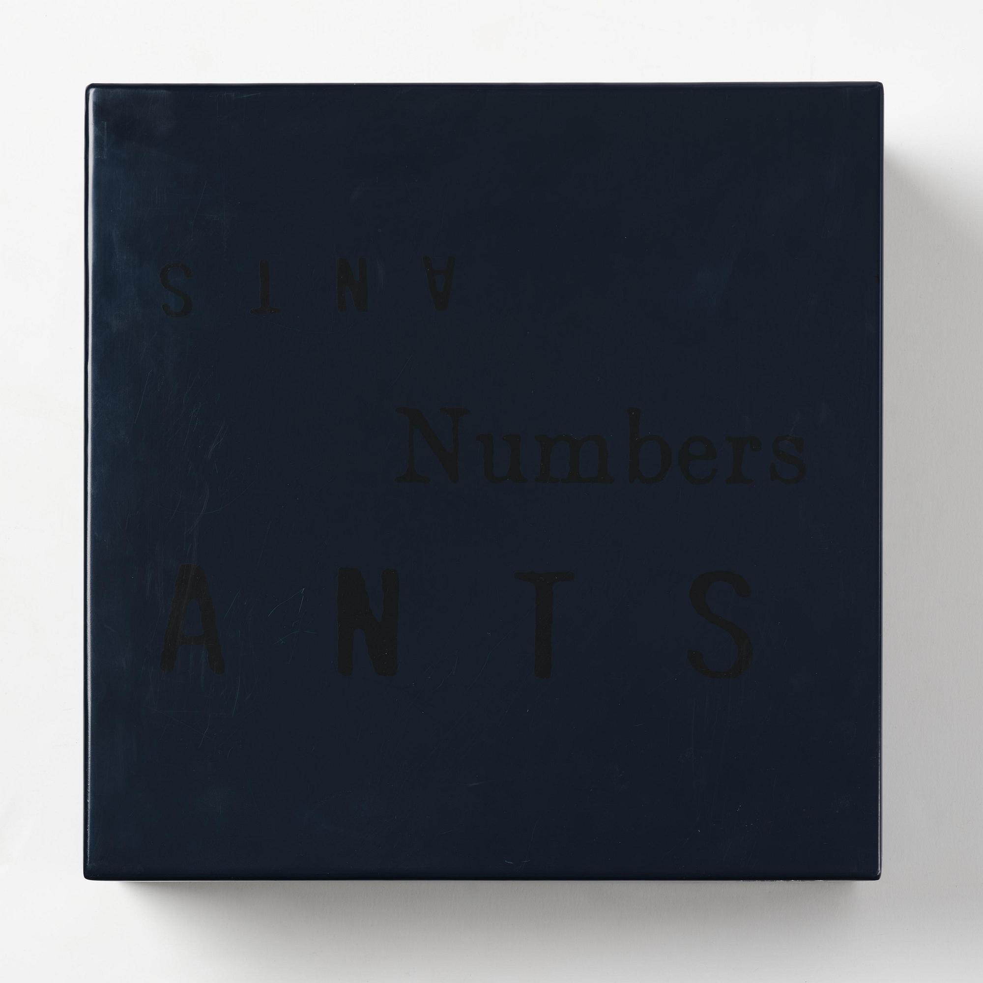 Rosemarie Trockel & Kirsten Ortwed, "Blue Box", 1990.