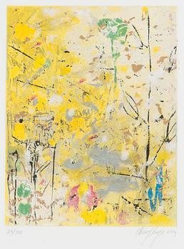 Canal Cheong-Jagerroos, Sommitelma.