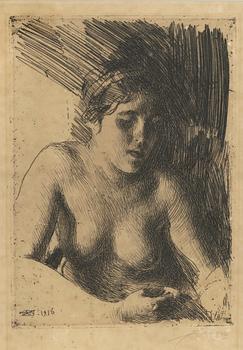 Anders Zorn, Bust.