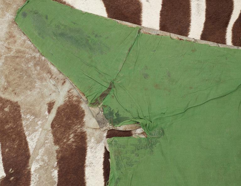 ZEBRASKINN, Zambia, 1980-tal.