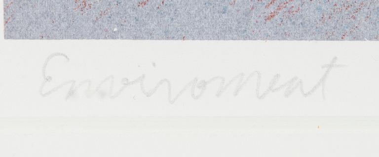 Kristian Krokfors, "Environment".