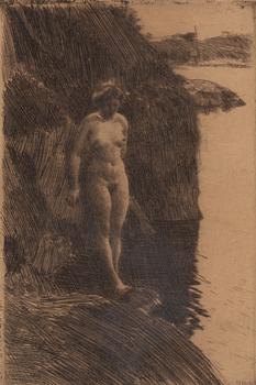 Anders Zorn, "Bråddjup".
