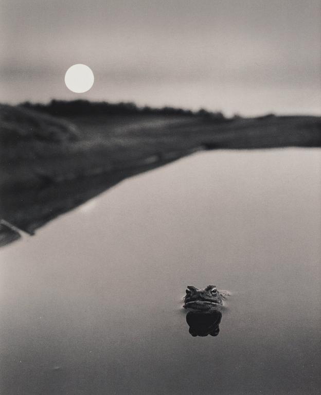 Pentti Sammallahti, Utan titel, 1974.