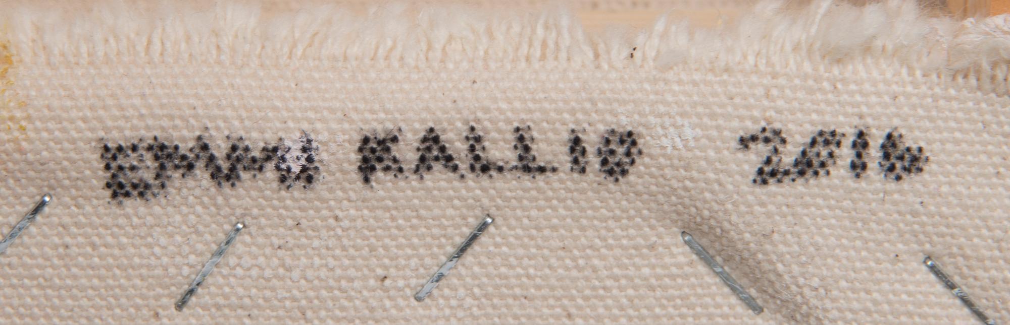 EMMI KALLIO, "KARKKIMAASSA EI OLE KATUMUSTA".