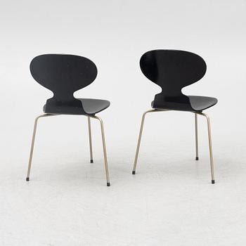 Arne Jacobsen, stolar, 6 st, "Myran", Fritz Hansen, Danmark, 1950/60-tal.