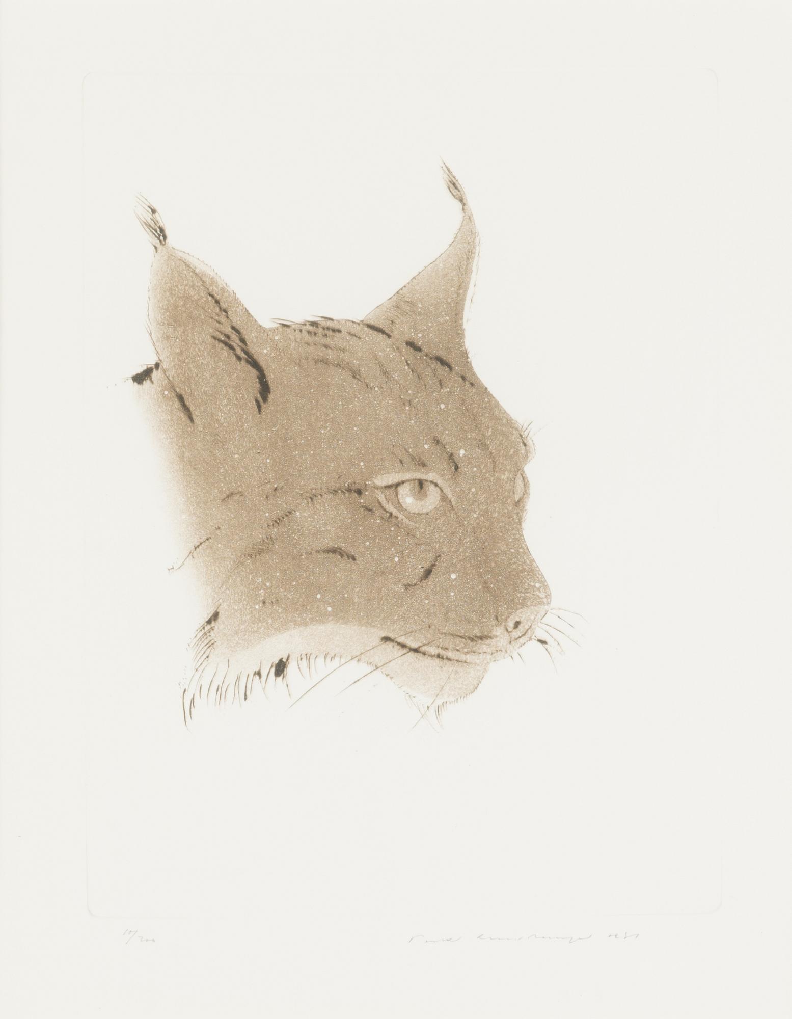 Pentti Lumikangas, etching, signed and dated 1981, numbered 10/200.