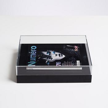 Anna Nordquist Andersson, "I see through you".