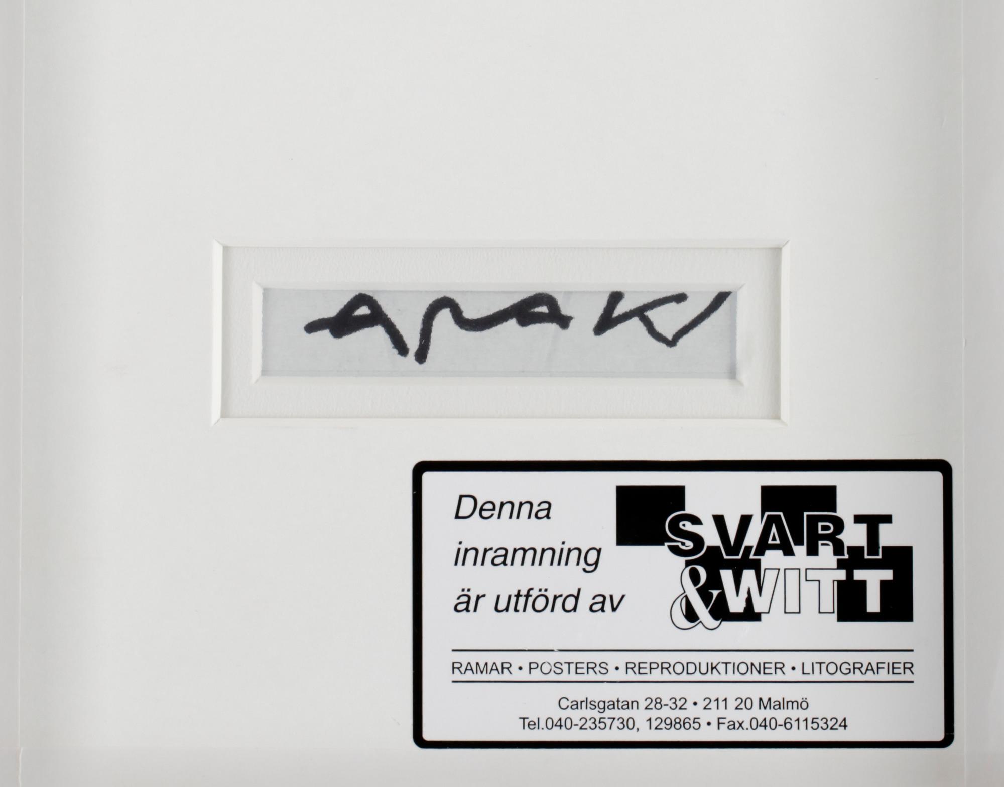 NOBUYOSHI ARAKI, polaroidfoto. Sign a tergo.