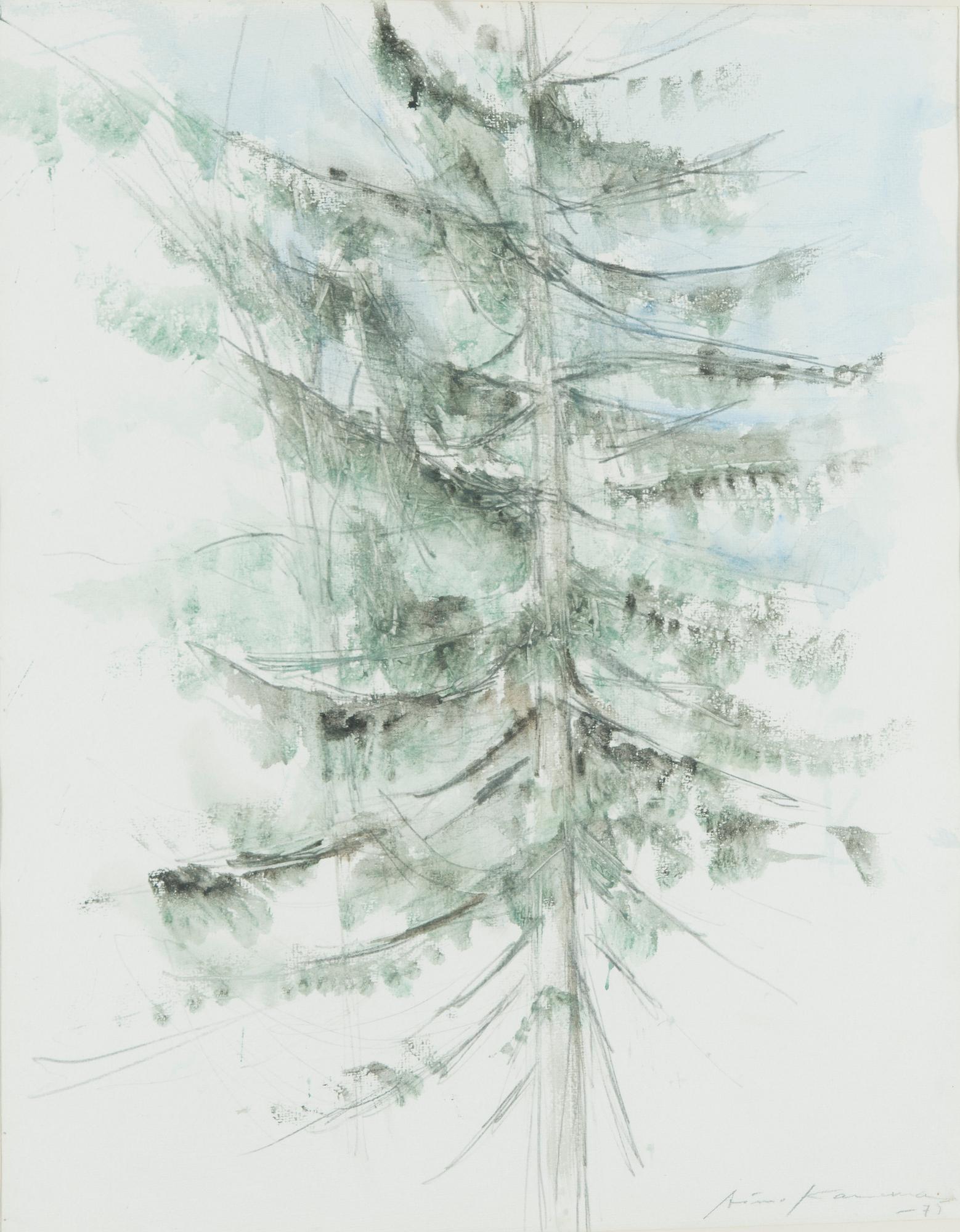 Aimo Kanerva, Kuusi.