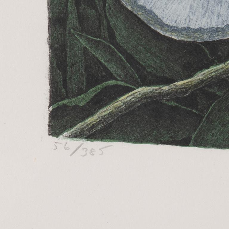 Karl Axel Pehrson, lithograph in colours, 1984, signed 56/385.